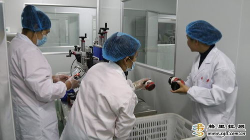 香格里拉市南素商貿深加工項目取得新突破，助力迪慶產業升級