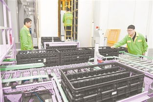 綠色能源揚帆海外 余姚佳貝思以技術開發引領市場新篇